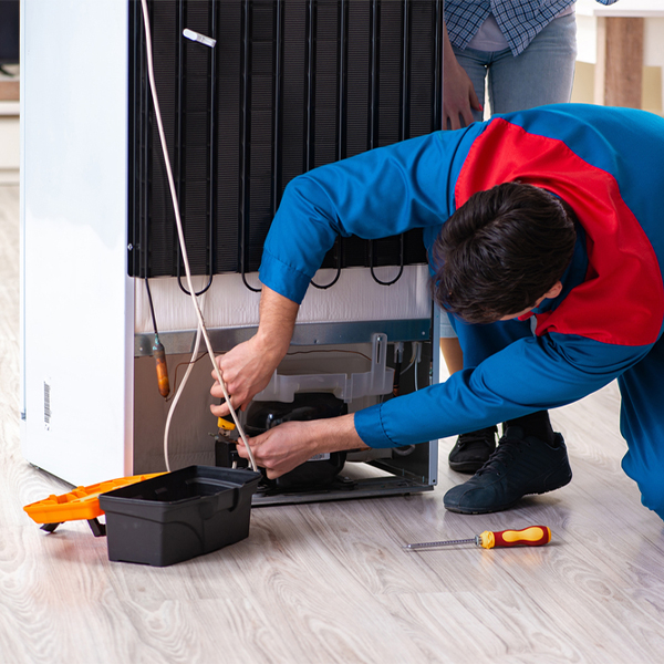 is it cost-effective to repair a refrigerator or replace it entirely in Stout OH